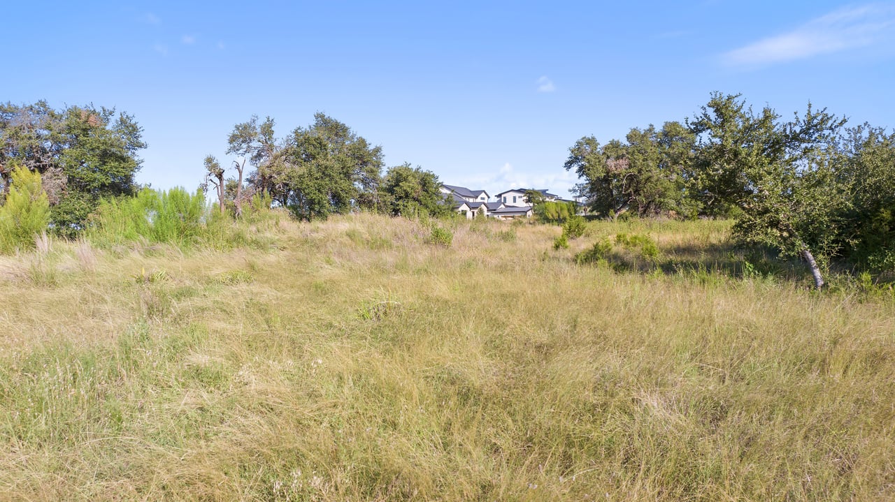 12801 Flowering Senna BND