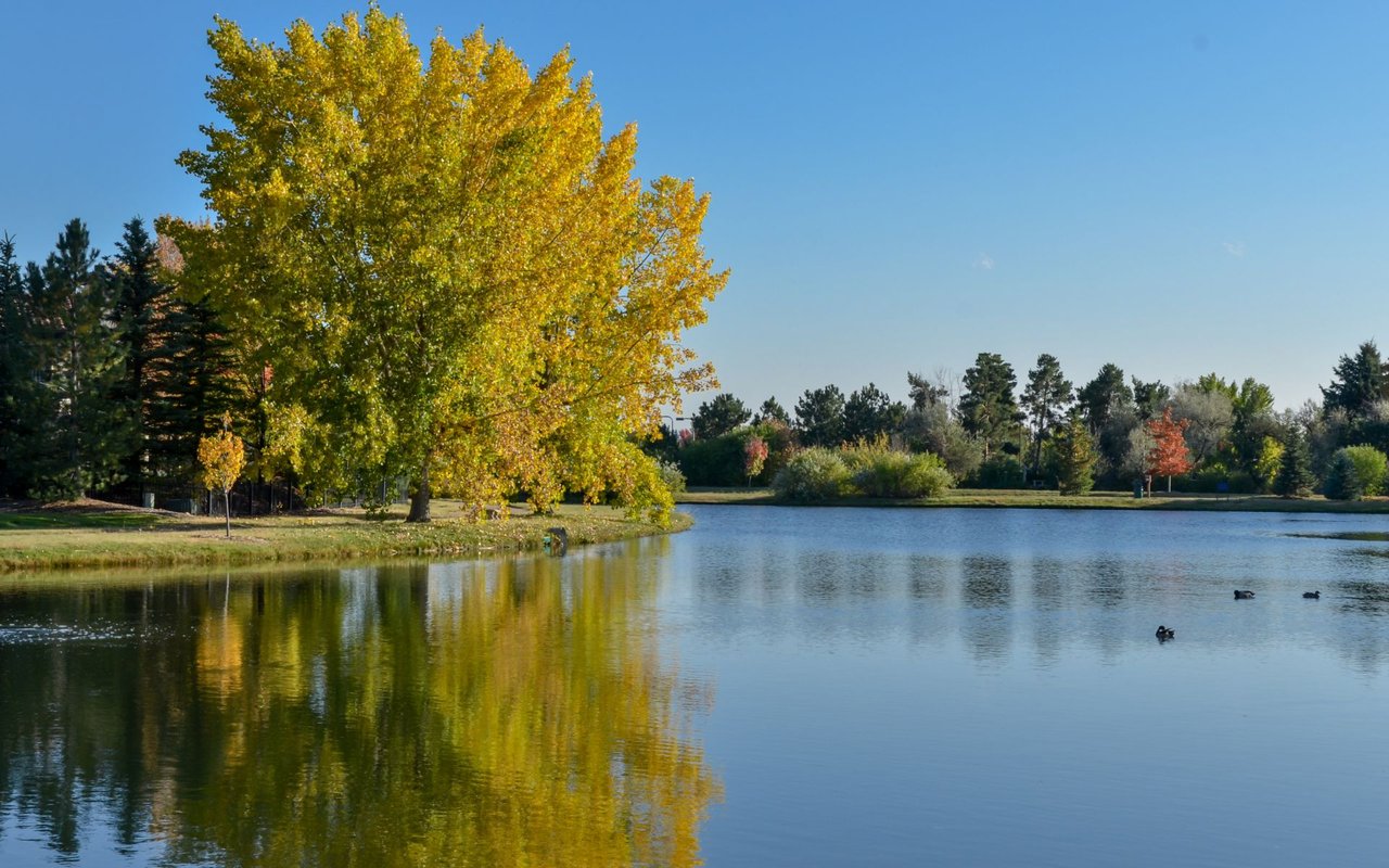 Cherry Hills Village