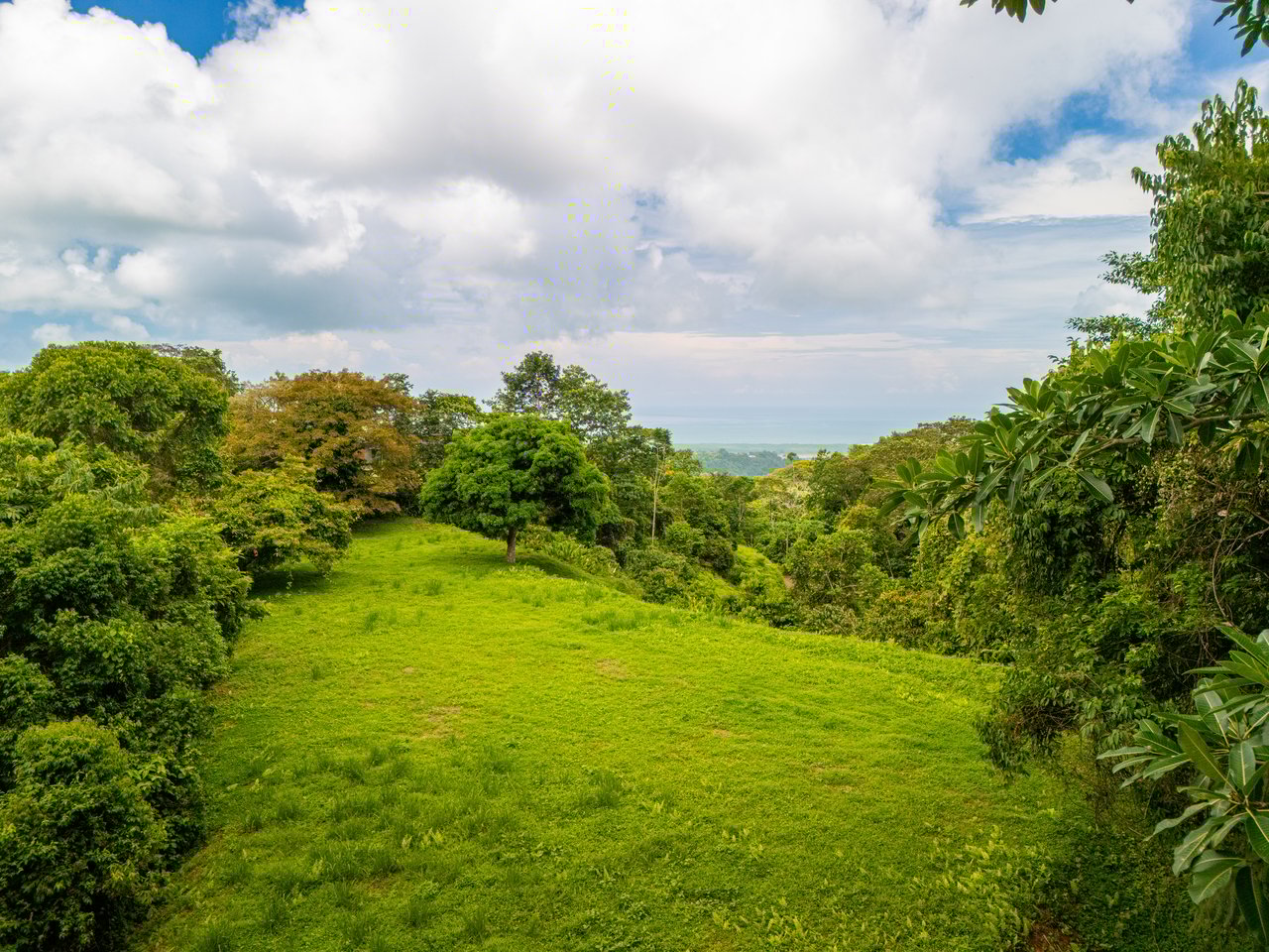 Tropical Paradise in Cascada Sándalo, Tres Ríos Ocean & Mountain Views | Gated Community | Abundant Nature