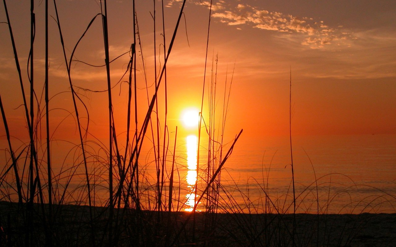 Longboat Key & Lido Key