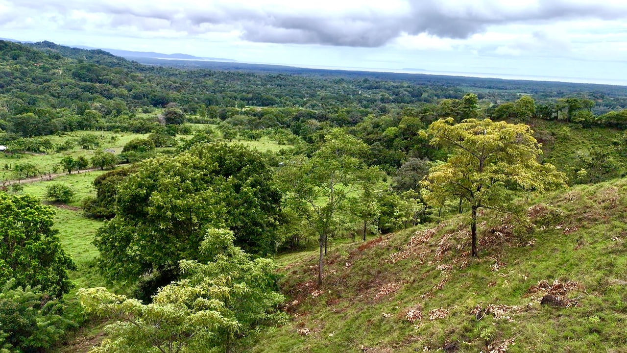 Ocean View Sanctuary in San Buenas – 4.94 Acres of Pastures & Easy Accessaccess