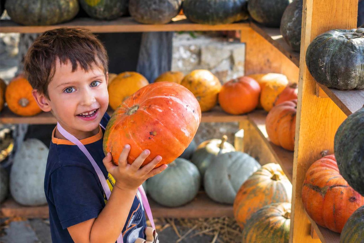 A young boy choosing a large pumpkin at an outdoor market.