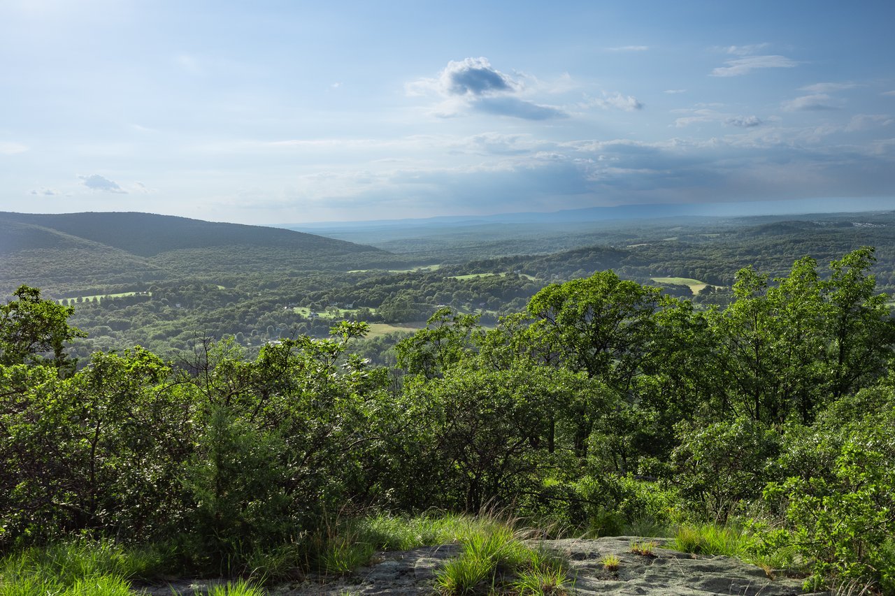 12 Mountain Brook Road