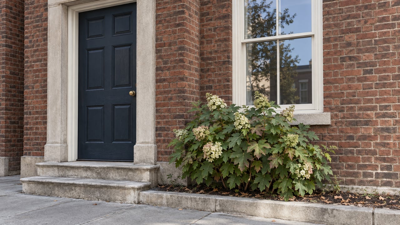 Red-brown brick townhouse entry with a blue-black paneled door, sash window, stone stoop, and oakleaf hydrangea.