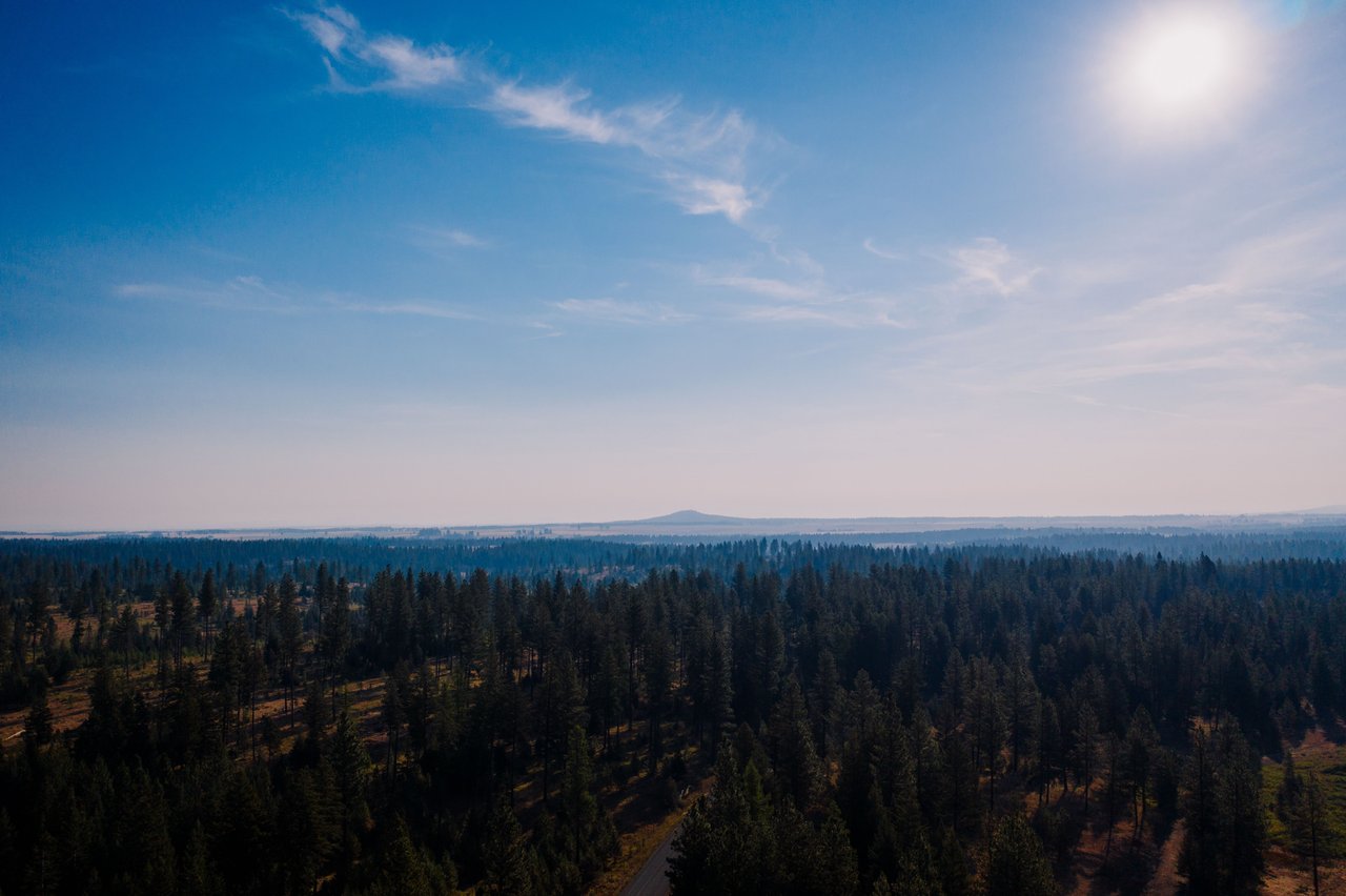 Buying a Home in Central Oregon This Summer | Nexus 360 Realty