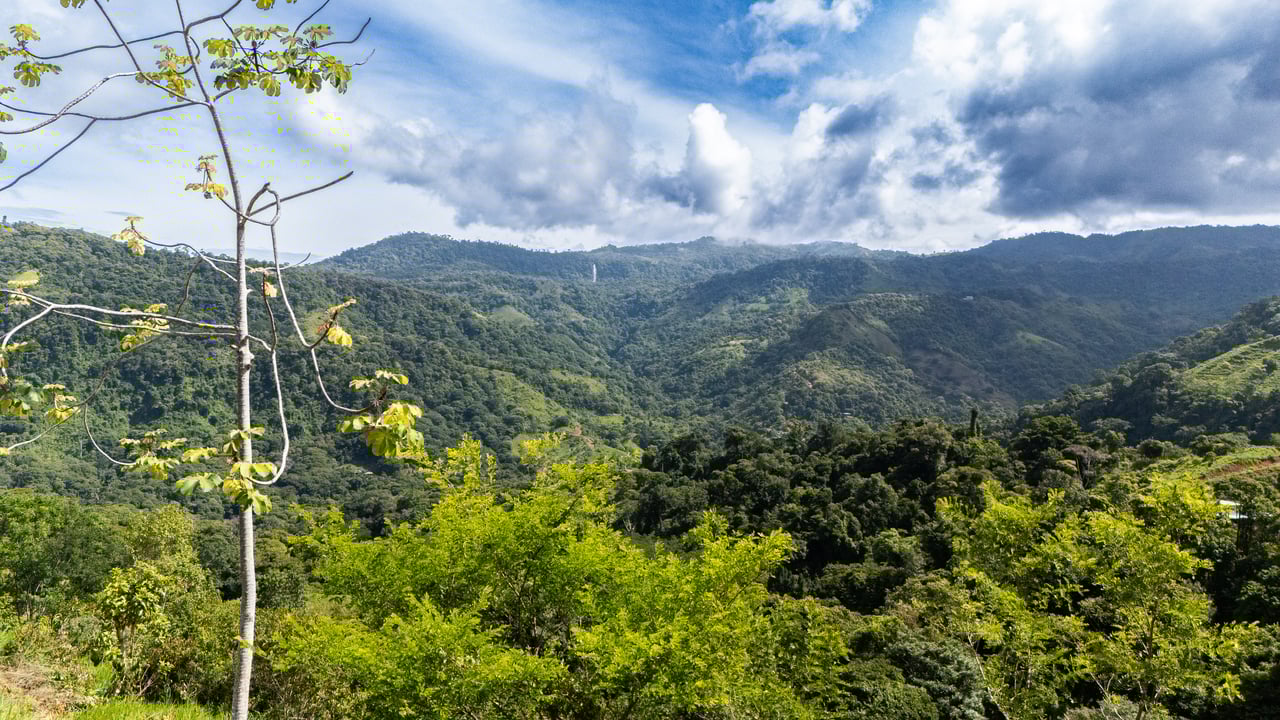 San Josecito Farm Above Uvita, 4 Acres, Creek and Usable Land