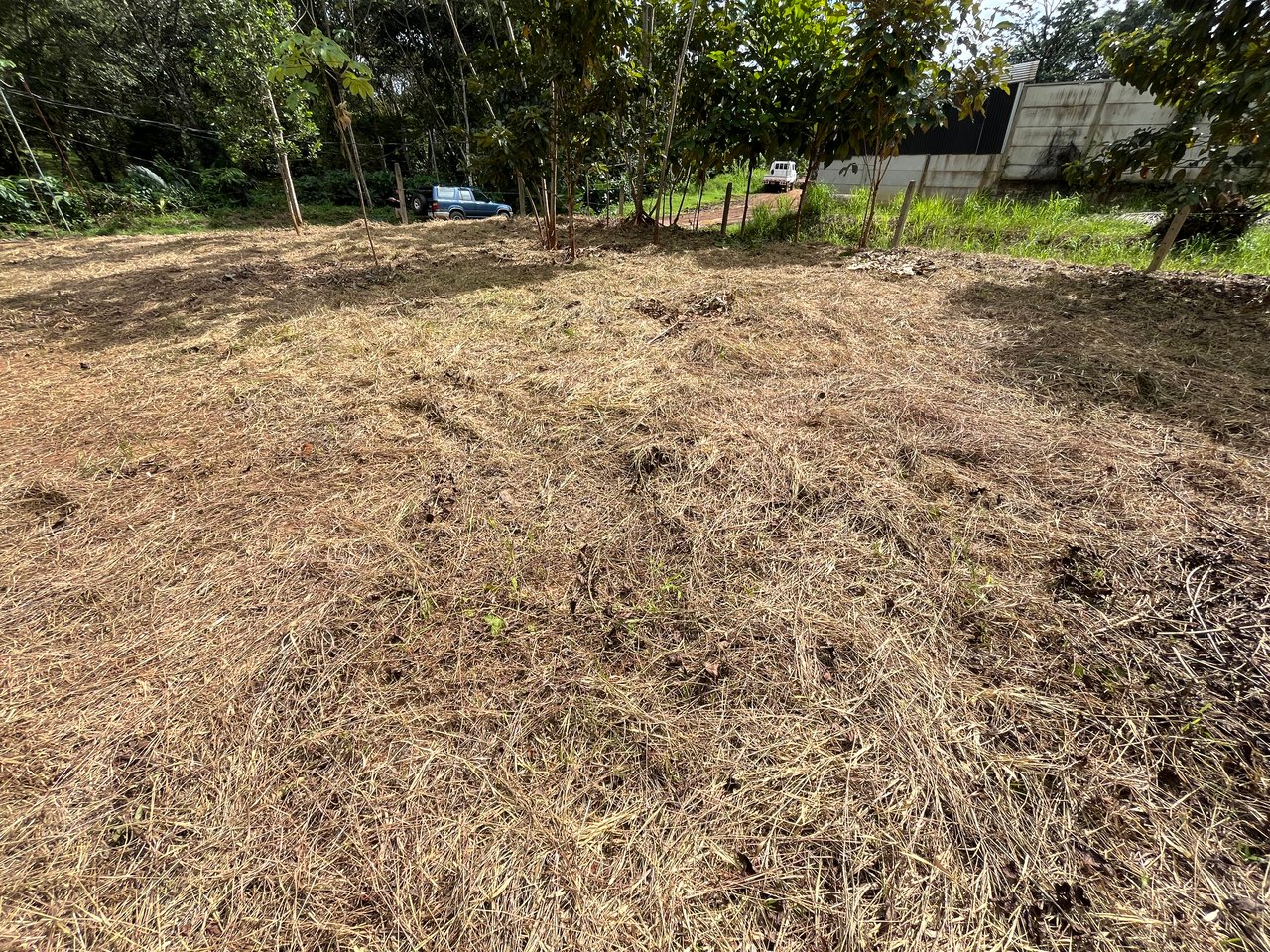 Affordable Uvita Lot UNDER $200-per-sqm - Perfect for Your Dream Home or Airbnb Investment