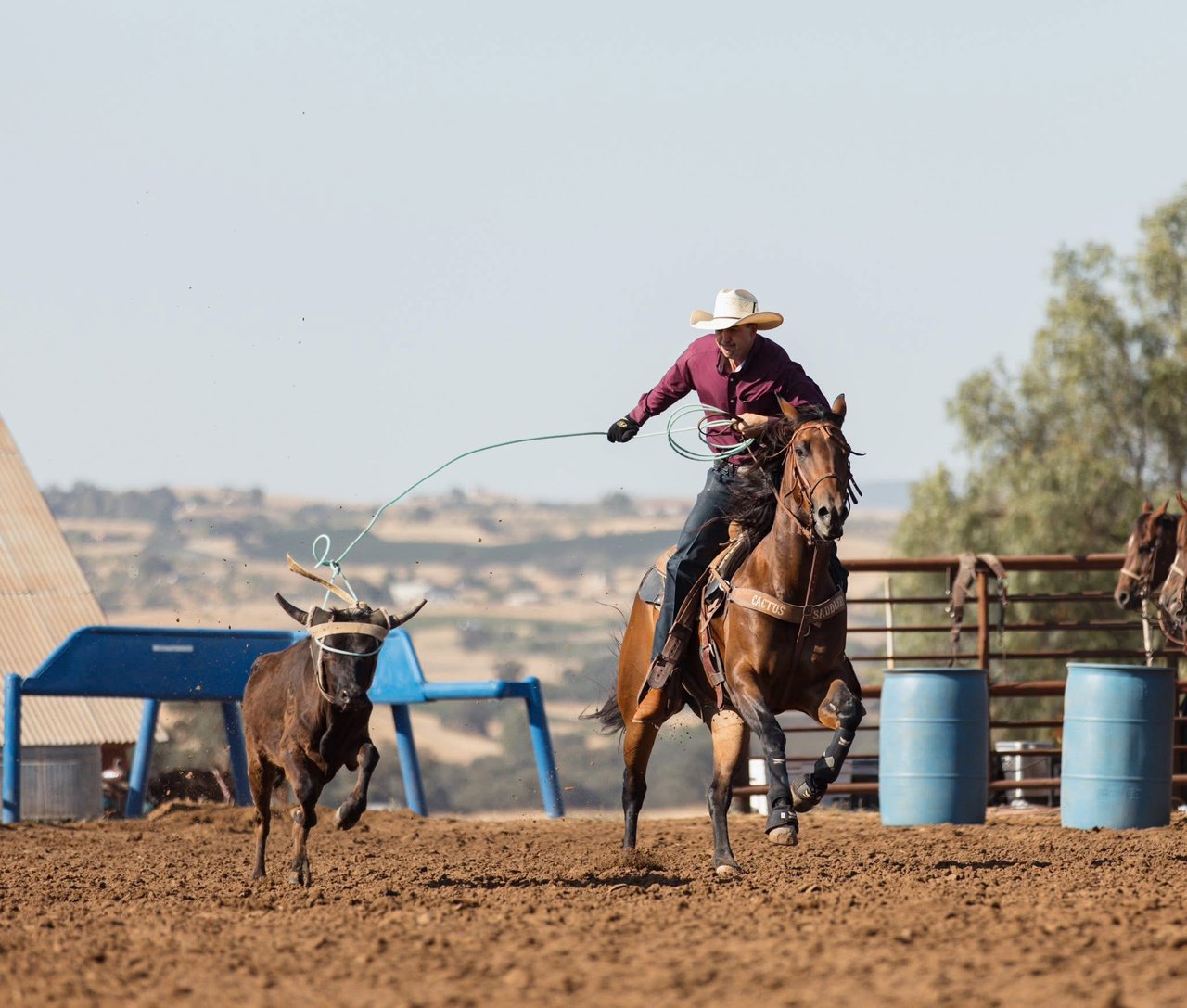 Why We Live the Life We Sell