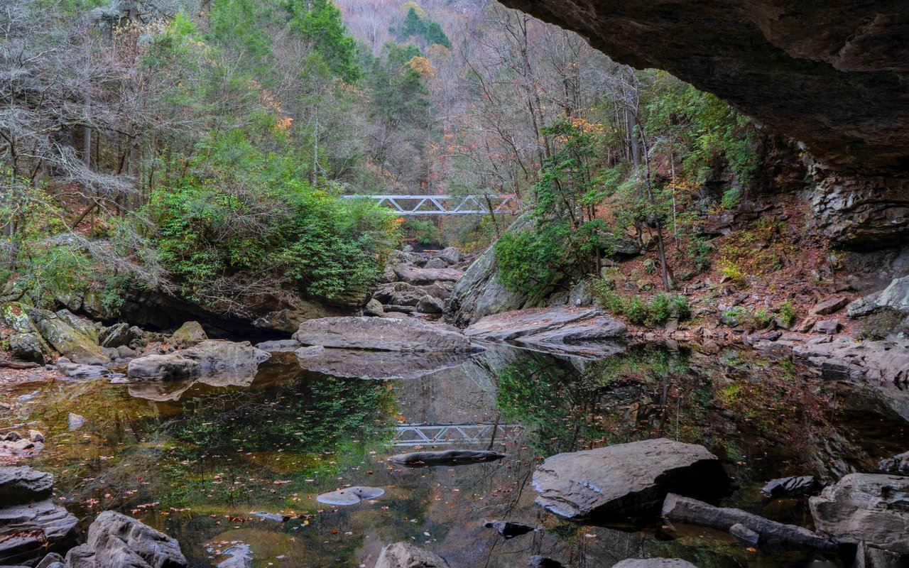 Soddy Daisy