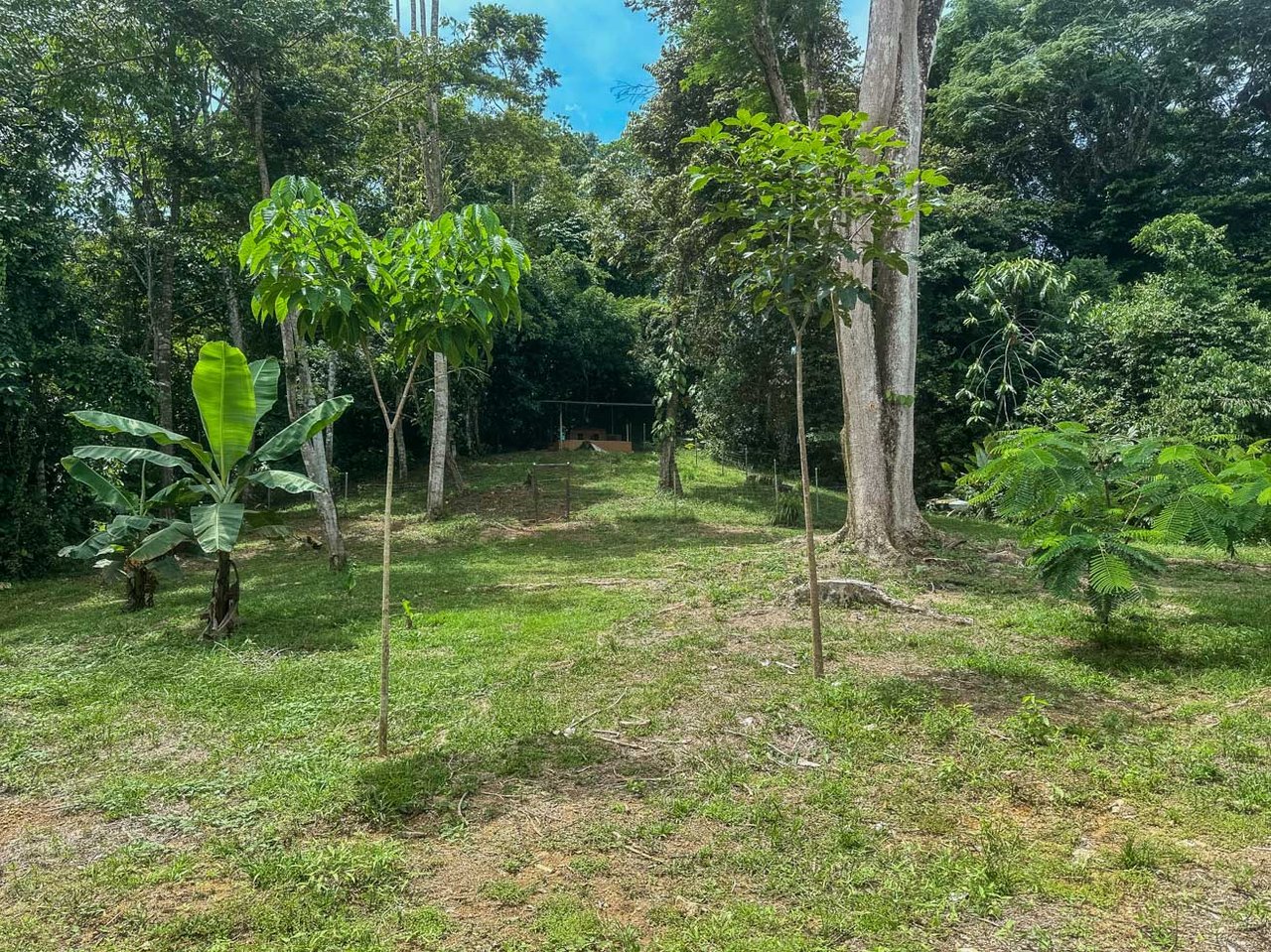 Jungle Home with Riverfront and Orchard in Ojochal Costa Rica