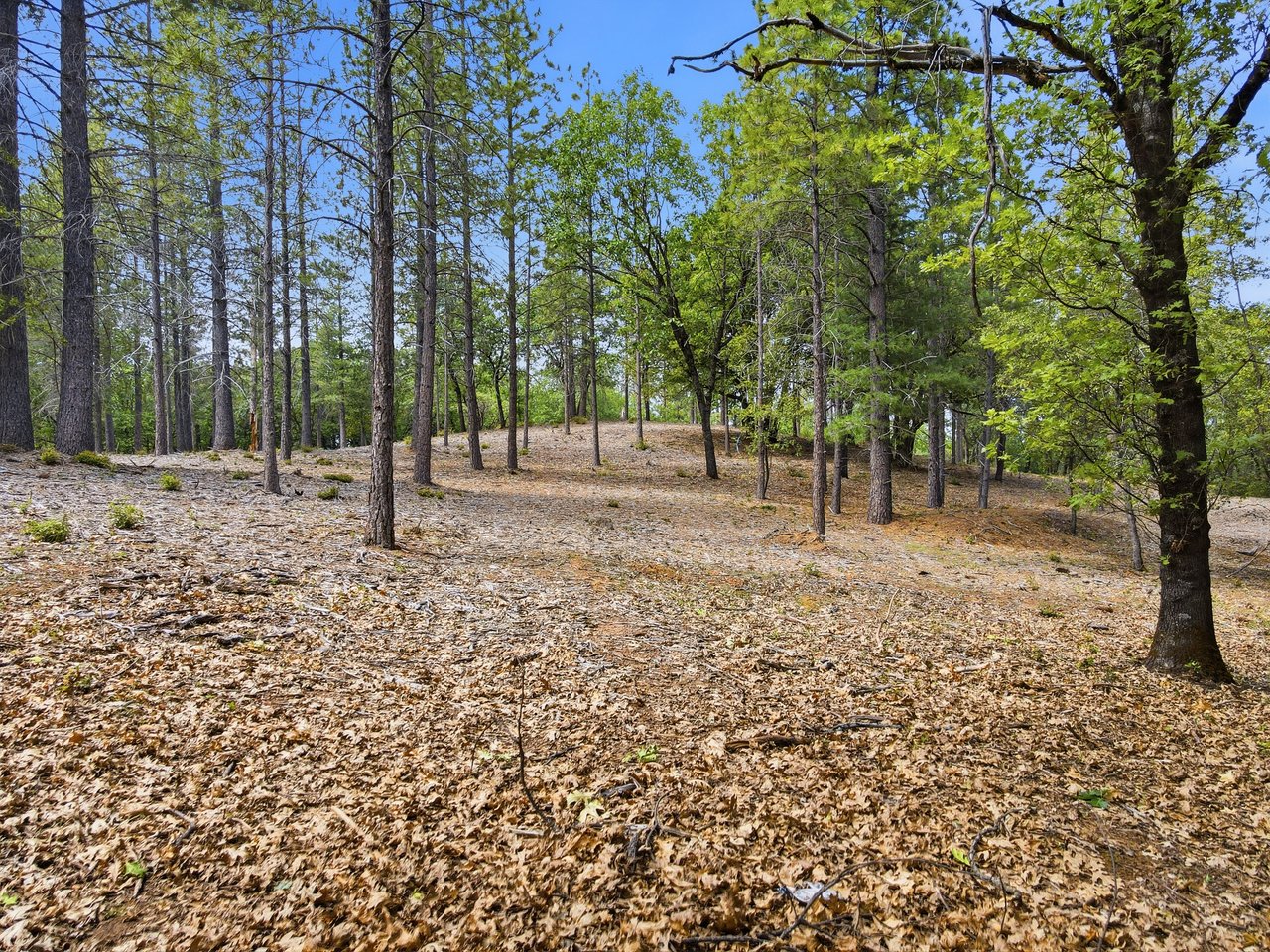 1451 Big Oak Rd