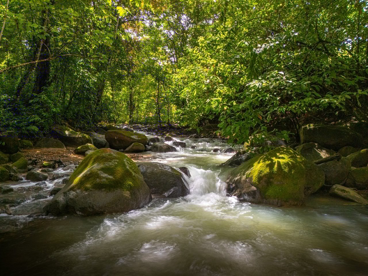 Plant Your Roots at Tierra Bendita! 2.5 Acres, River Frontage, 2 Bedroom Home, Private, Easy Access!