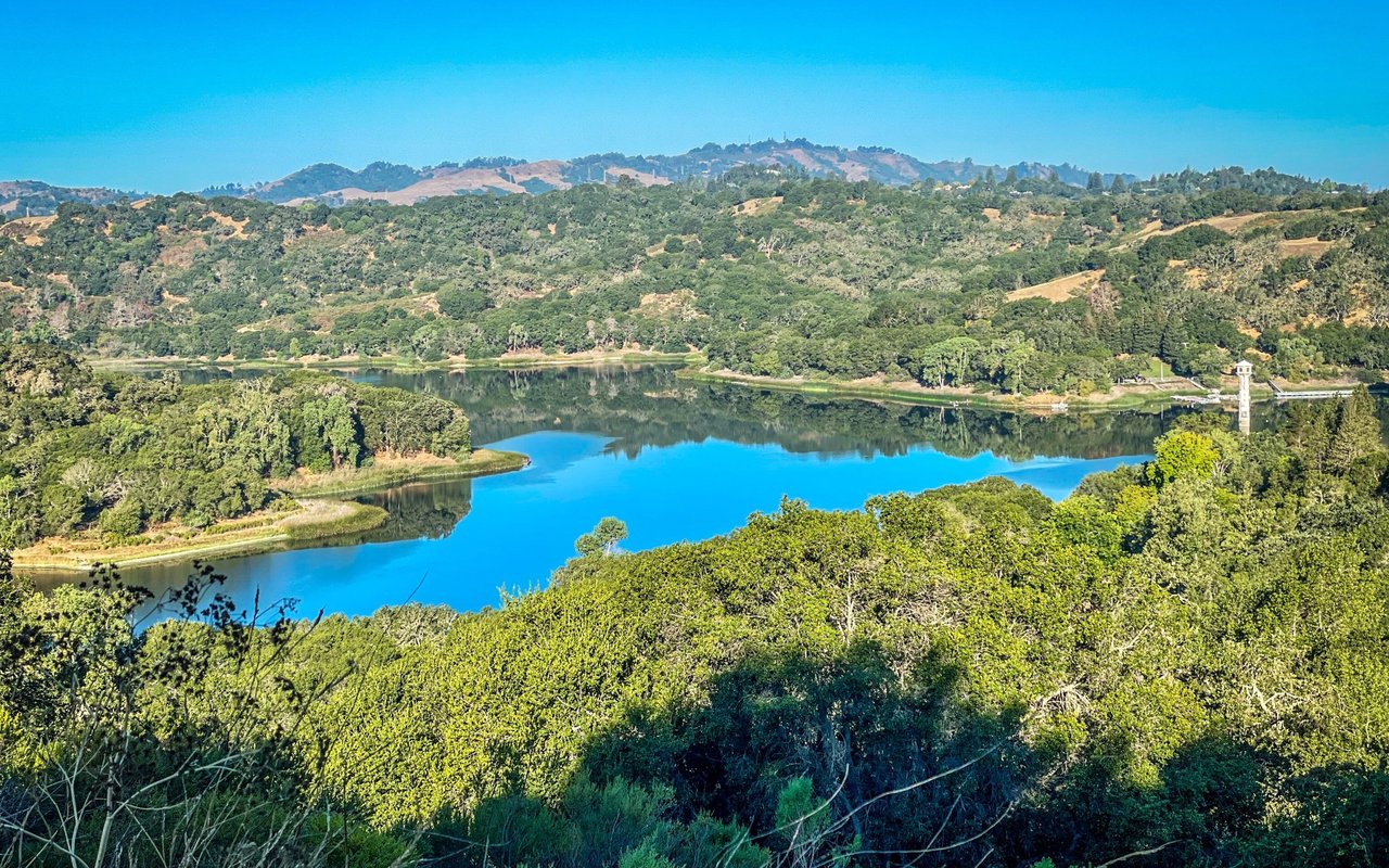 contact-form-background