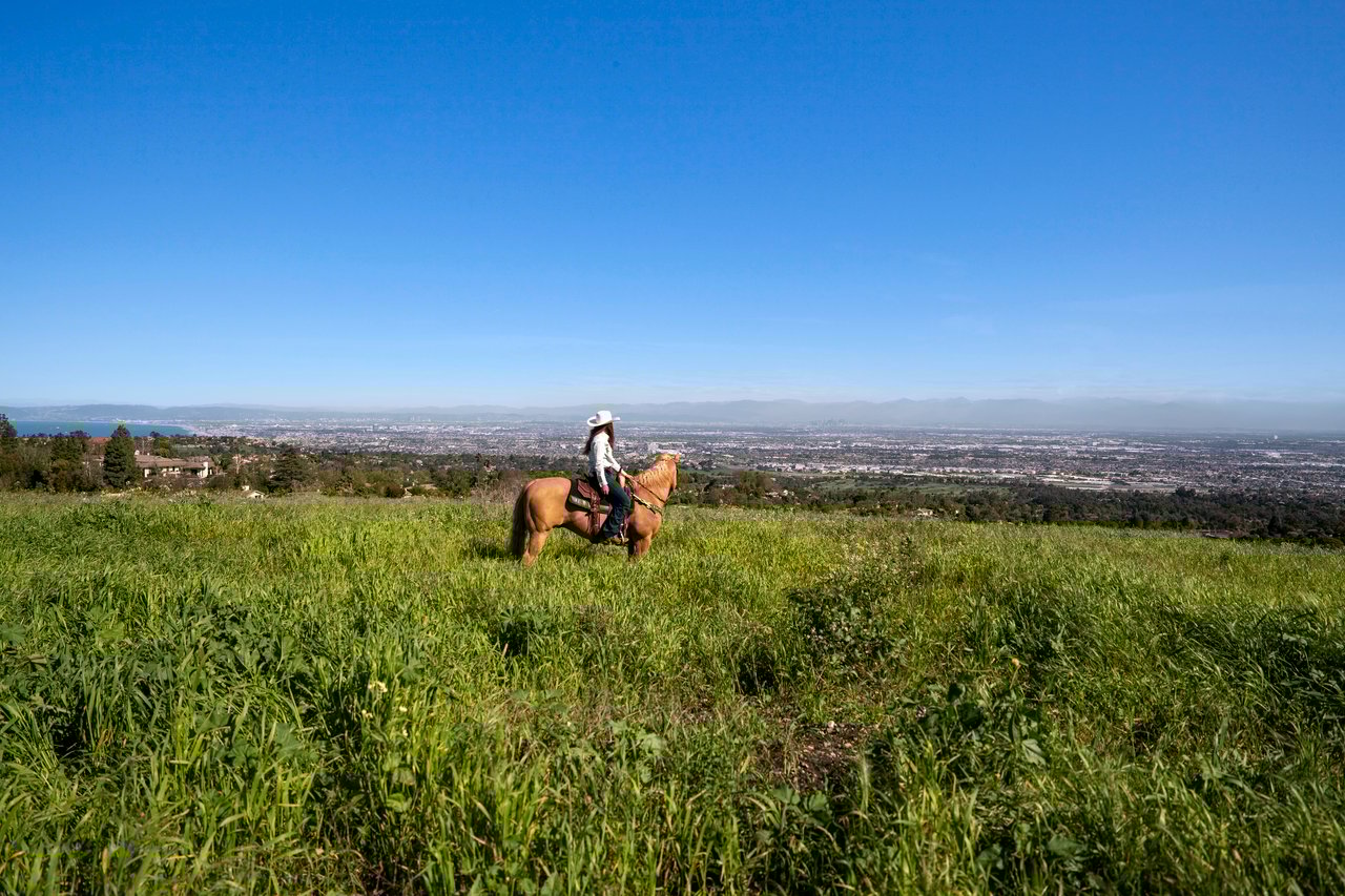Storm Hill, Rolling Hills