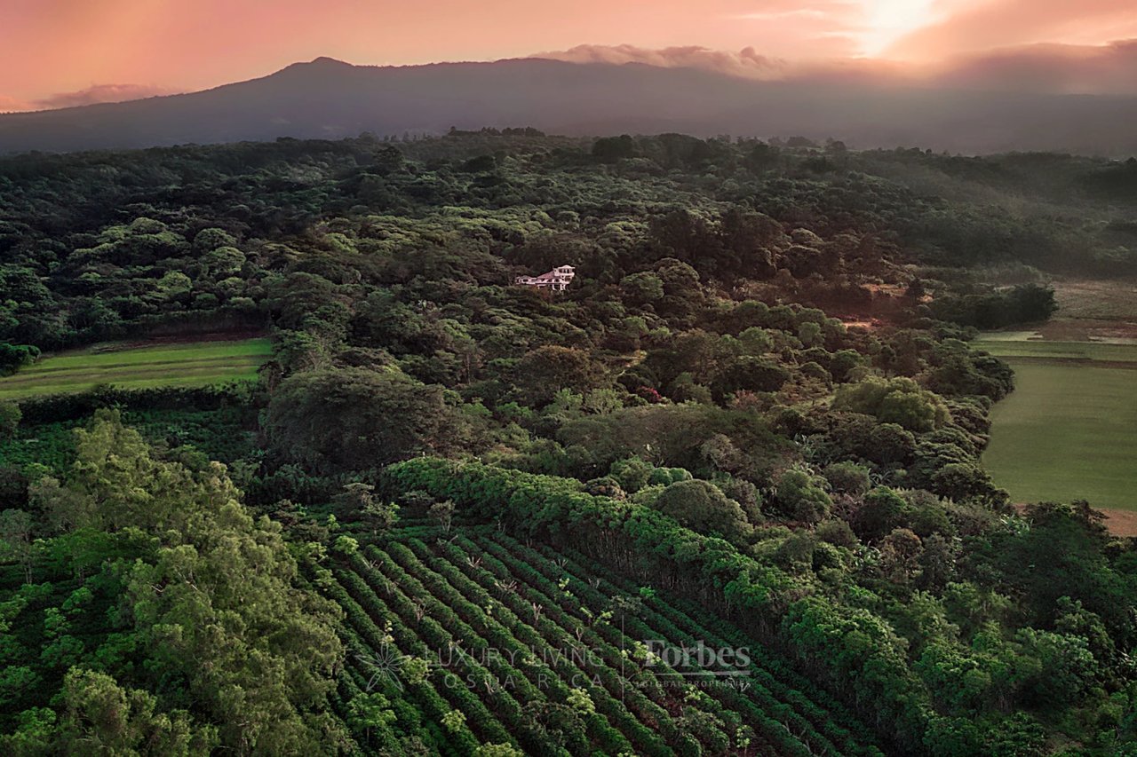 20646 - Boutique Hotel for Sale in the Mountains of Heredia