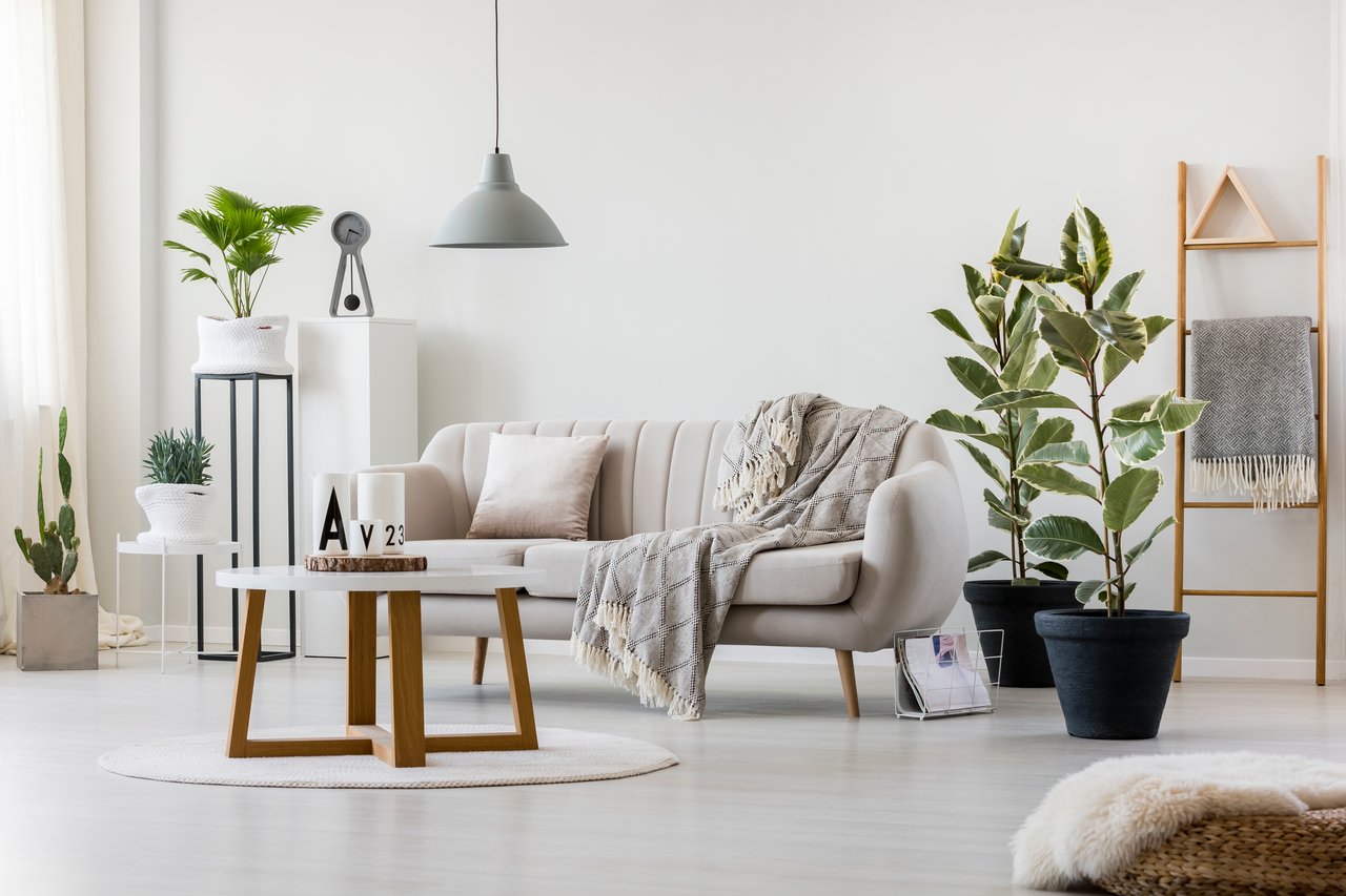 Living room with a cream sofa, patterned throw, wooden coffee table, and leafy potted plants.