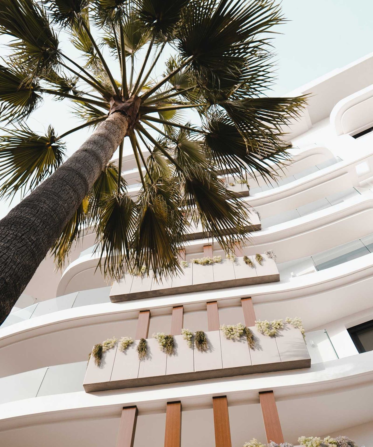 Modern white building with curved balconies and planters, viewed beneath a tall palm tree.