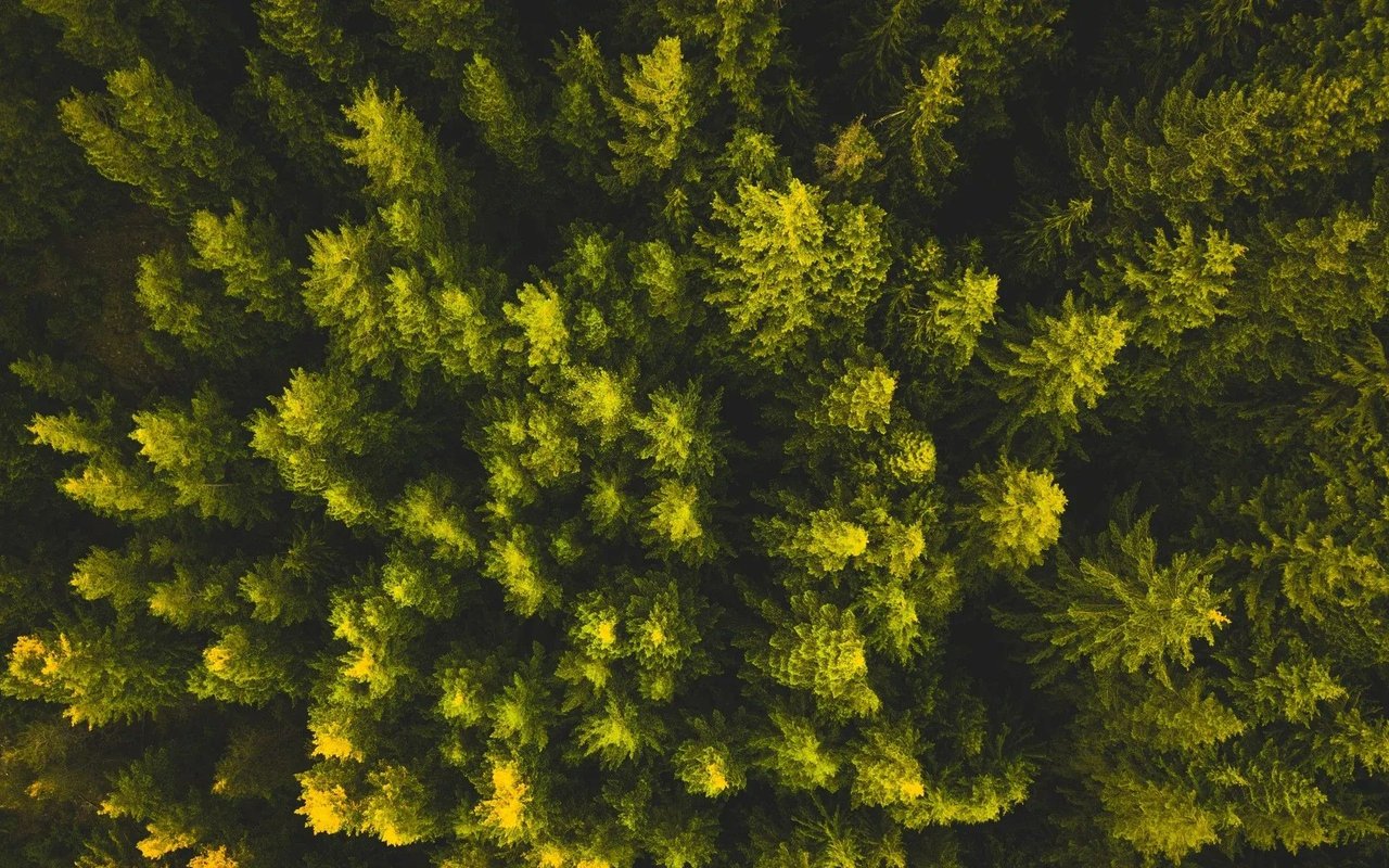 Scotts Valley