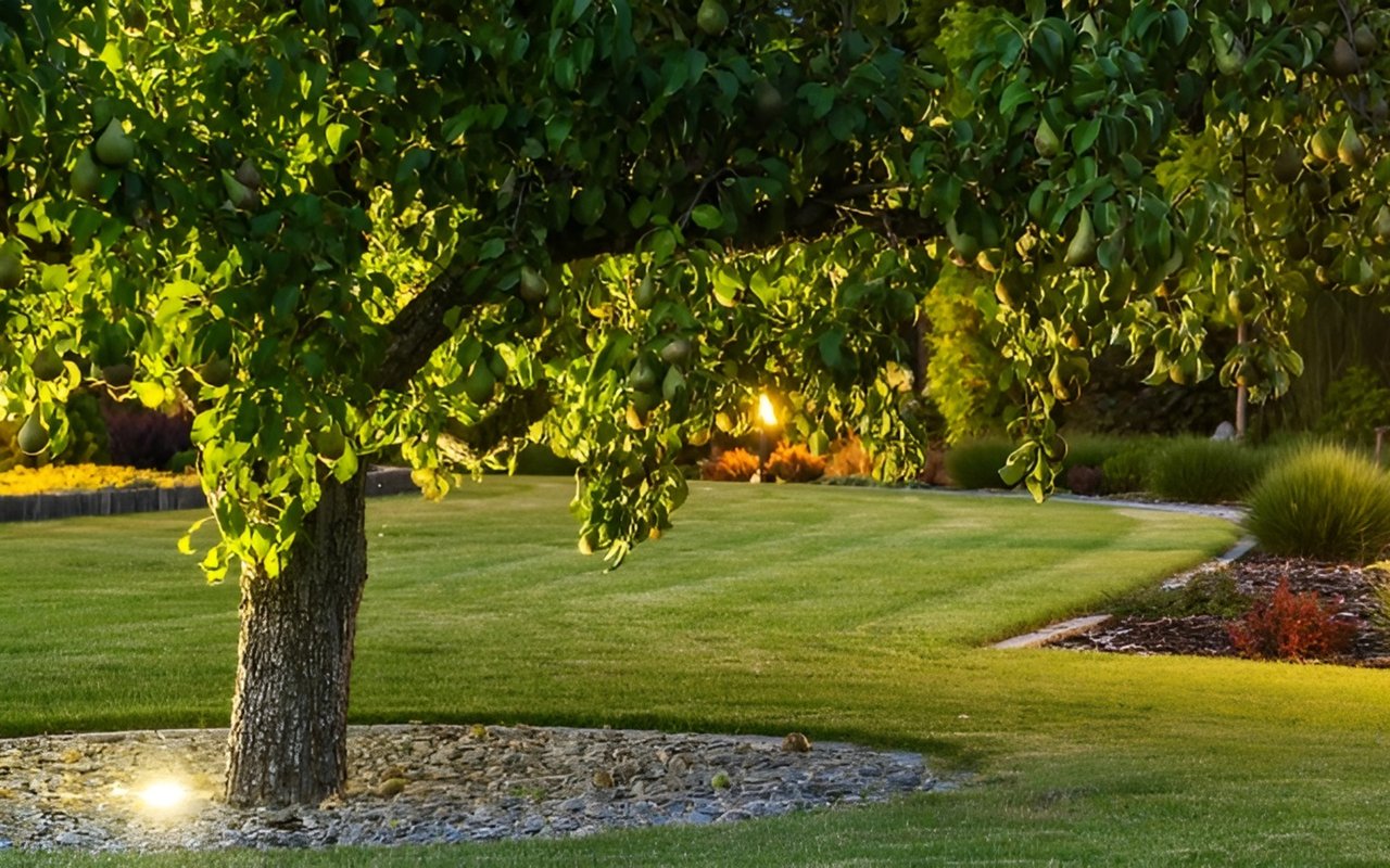 Best Curb Appeal Updates to Maximize Your Home’s Value