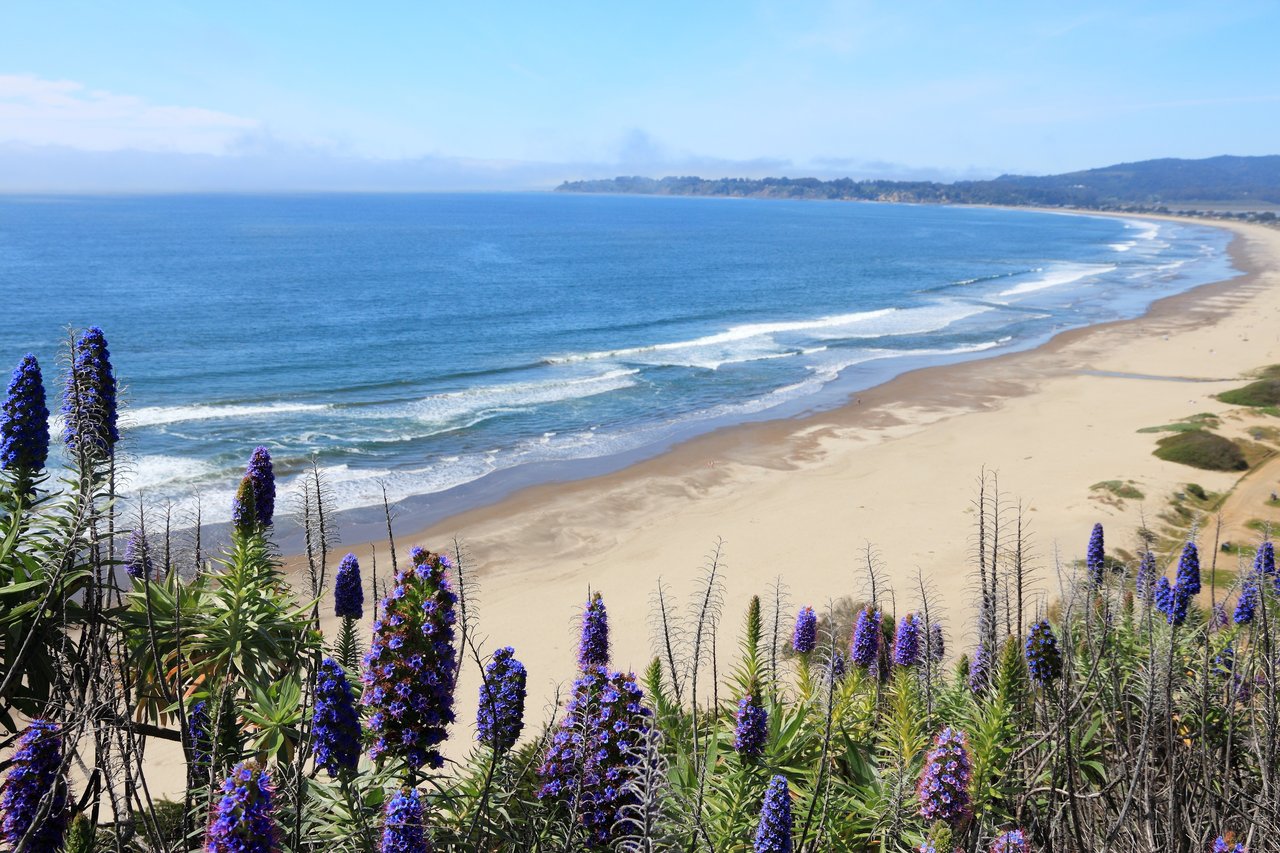 Stinson Beach