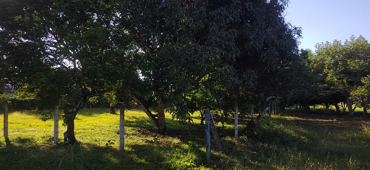 PRIME 1,100 M² LOT IN RESIDENCIAL LOS VIEJOS – FLAT, PRIVATE, AND READY TO BUILD
