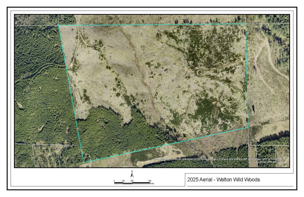 Walton Wild Woods