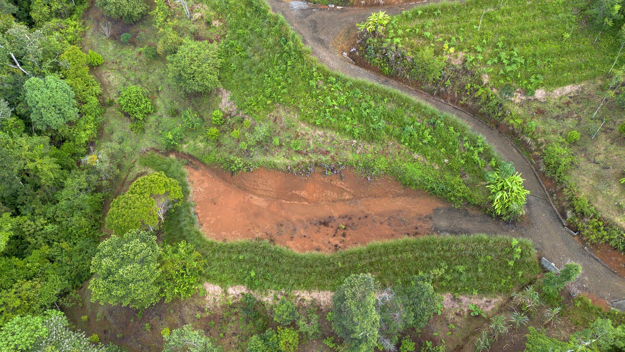 10.21 Acres with Views & Plantels – Pérez Zeledón