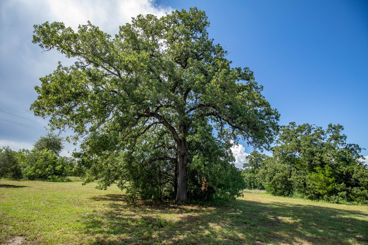 Post Oak Preserve | 18.115 ± Acres | Fayette County