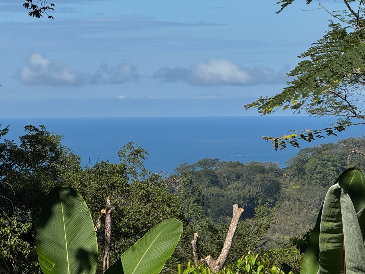 Casa Selva Vida, Uvita Costa Rica