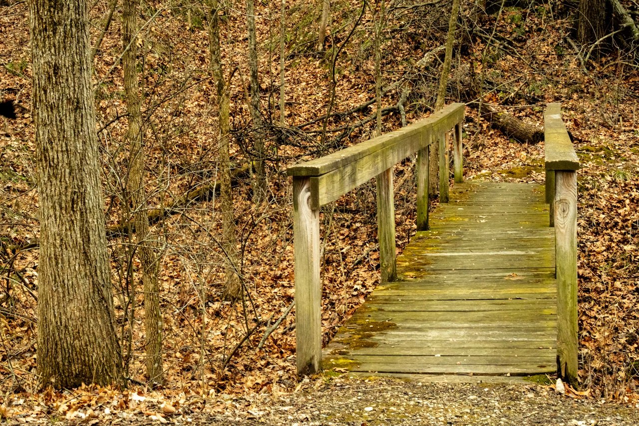 The Best Kept Secrets of Libertyville: Hidden Spots Only Locals Know