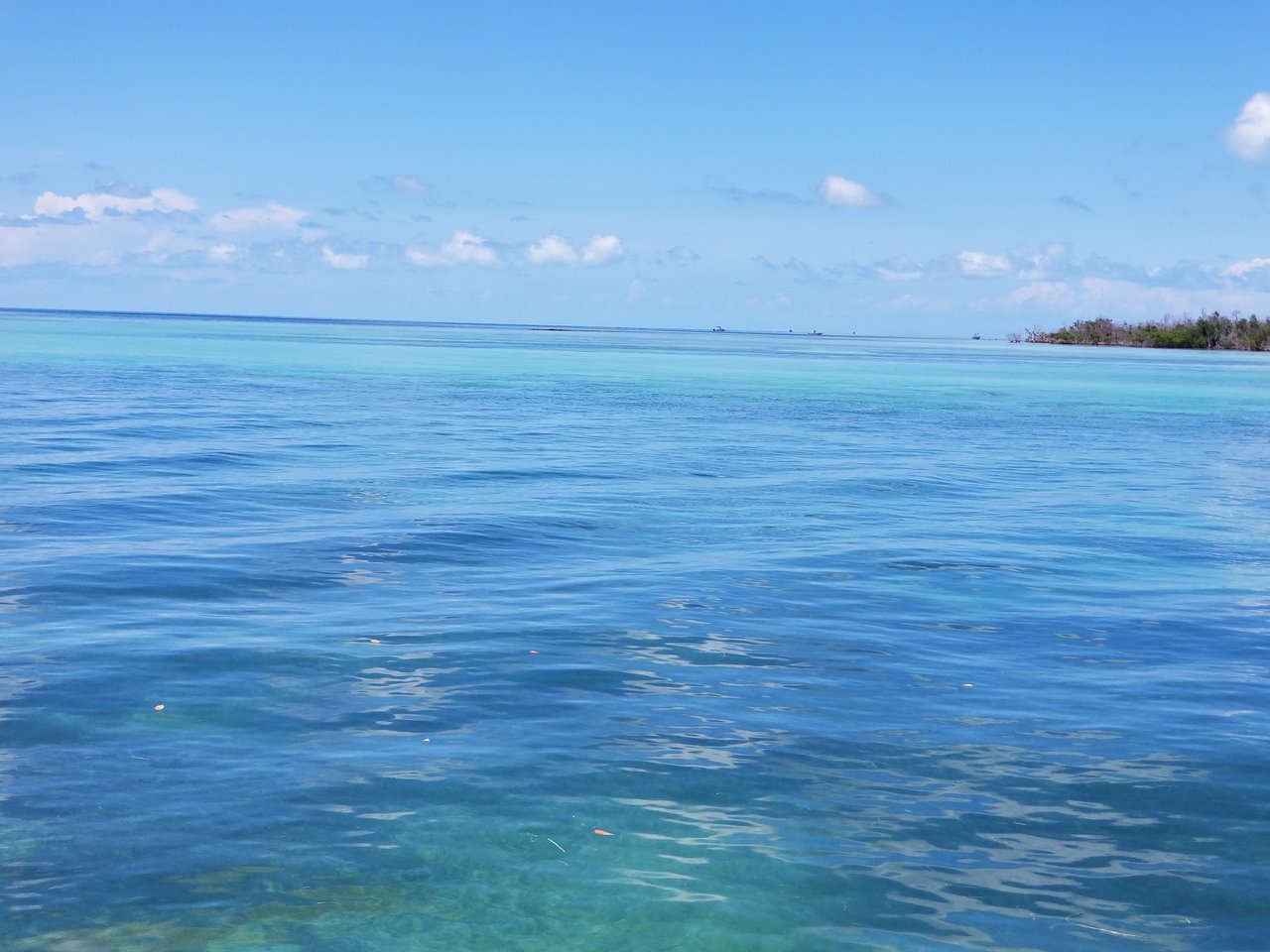 Tavernier/Plantation Key