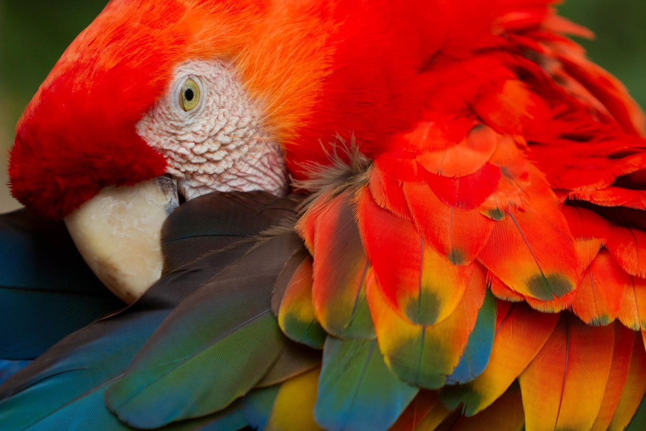 Local Lifestyle in Jaco Costa Rica 
