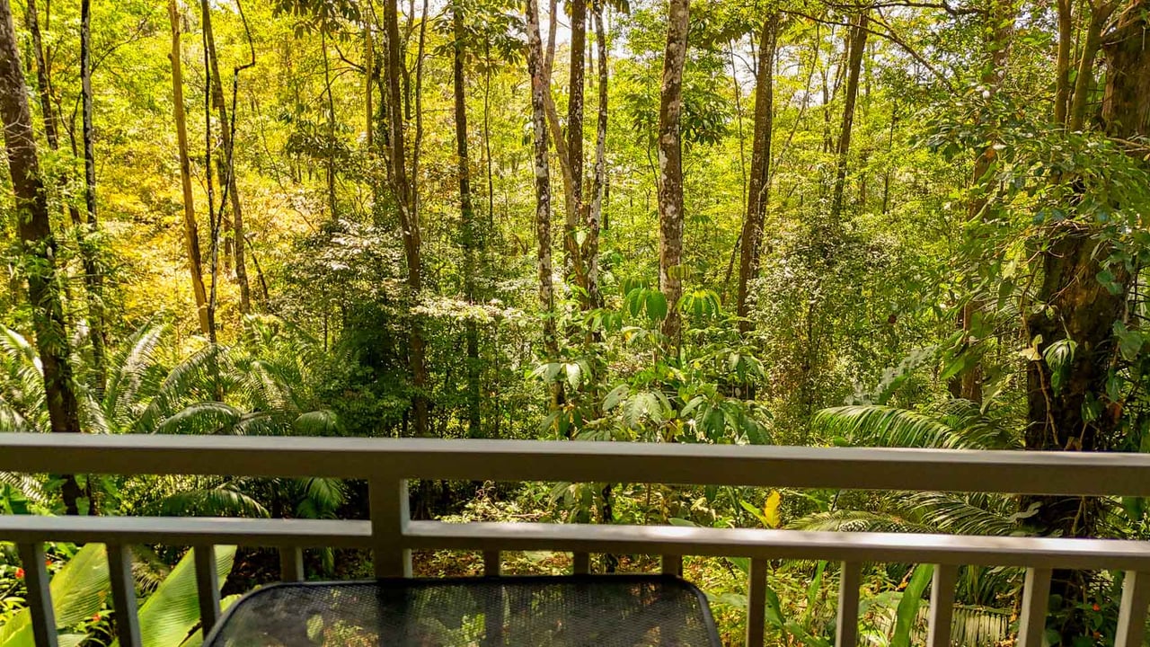 Uvita Jungle Home for Sale | Private Creek Lot Near Marino Ballena