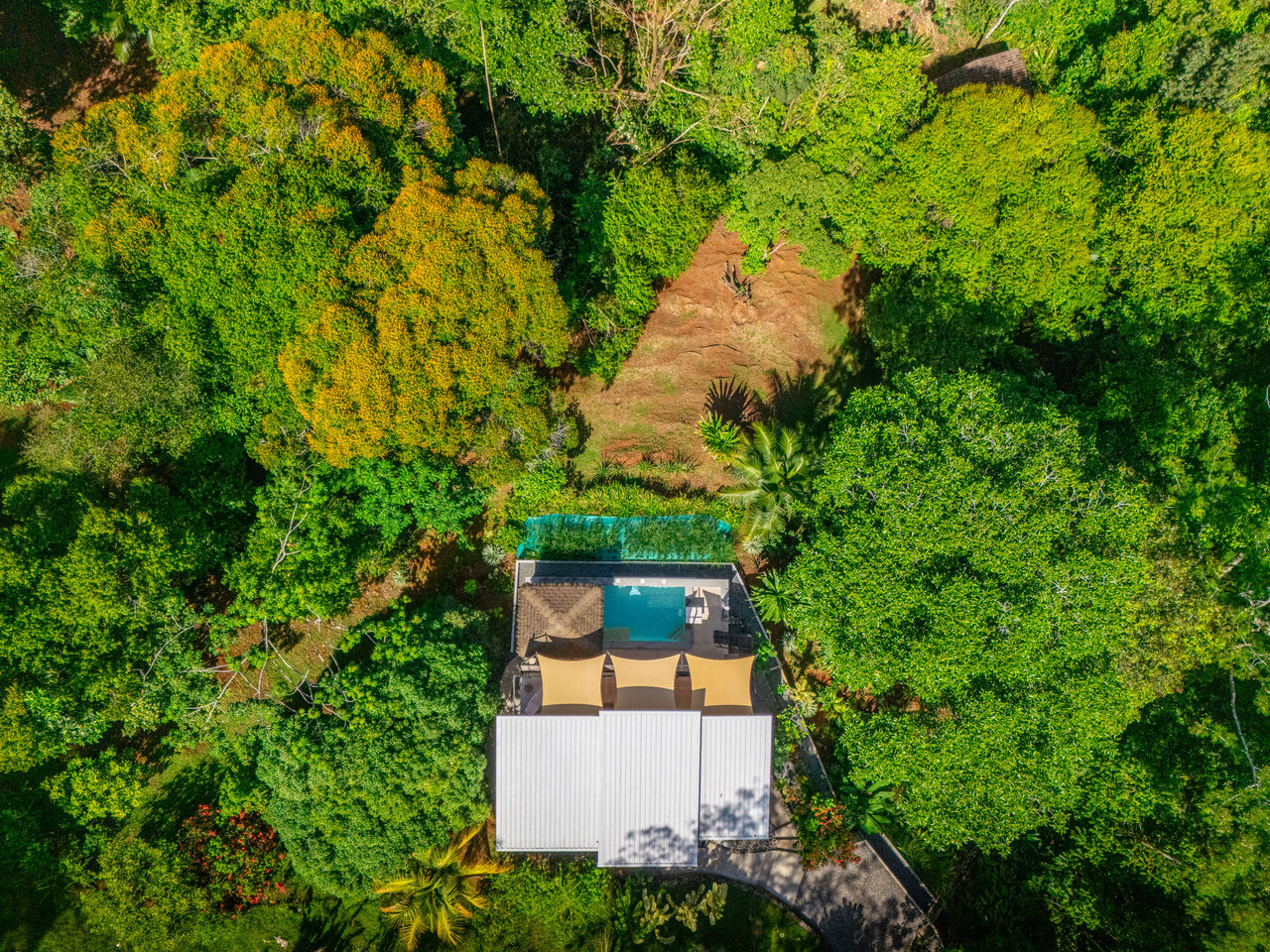 Casa Chiquita - Ocean View Retreat in the Heart of Ojochal – 3 Bed, 3 Bath with Pool, Fruit Trees & Prime Location