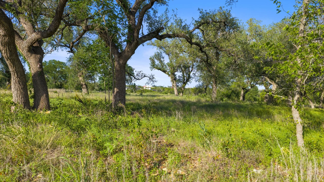5311 Spring Preserve Trl LOT