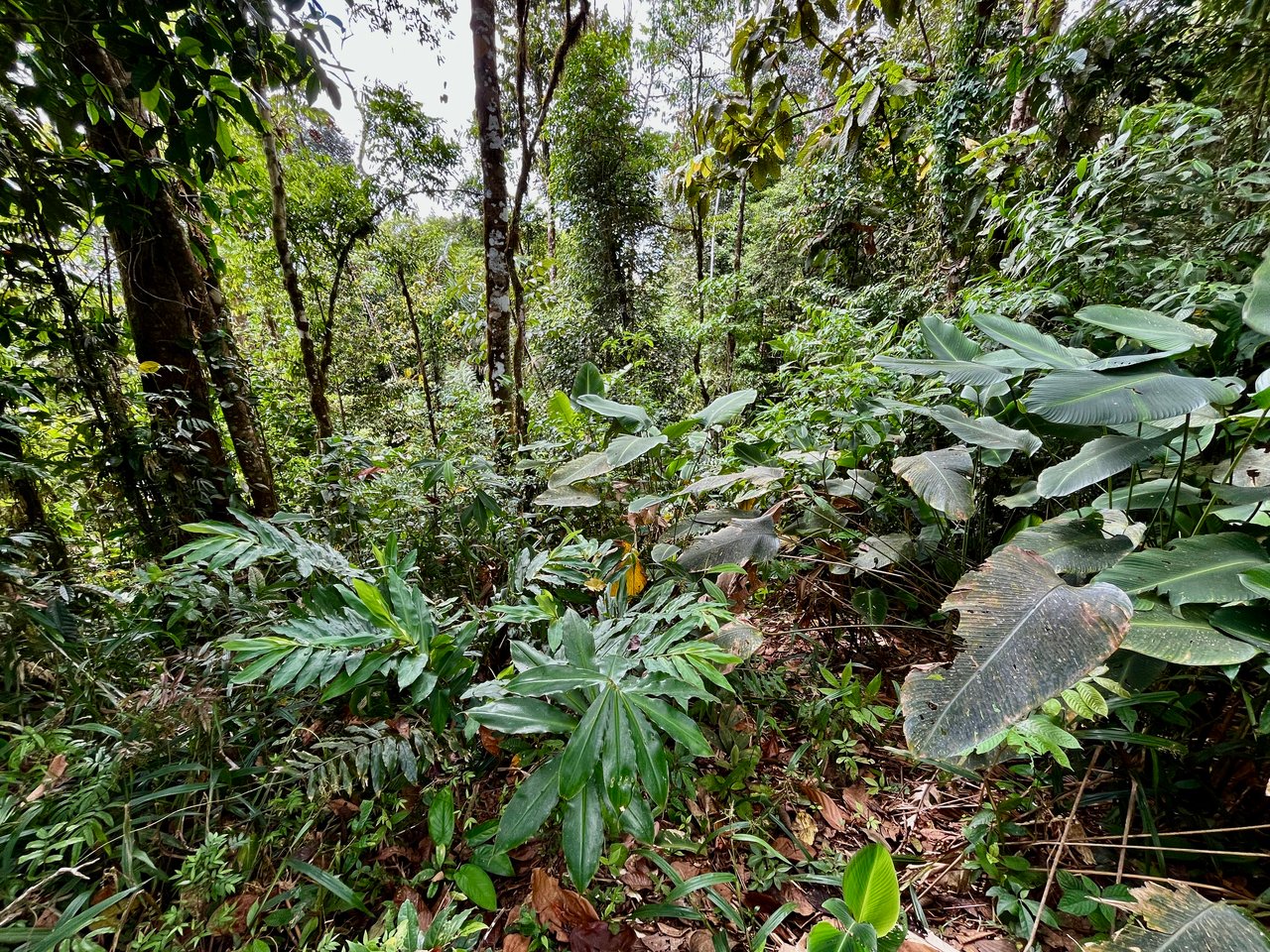 San Luis Ridgetop Ocean & Mountain View Property with Multiple Building Sites!