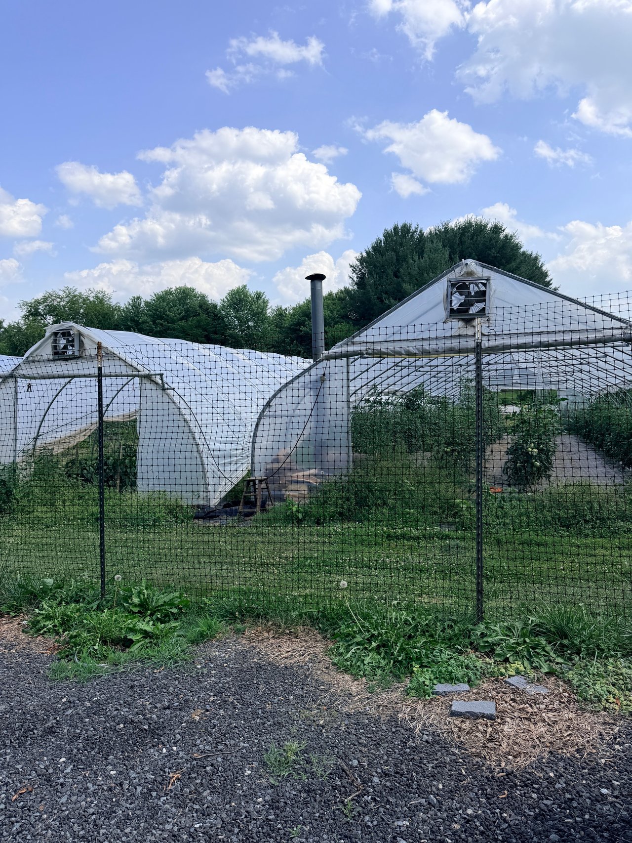 Living Near the Ridge: How Local Anchors Like Chilly Hollow Farm Shape Berryville’s Market Appeal