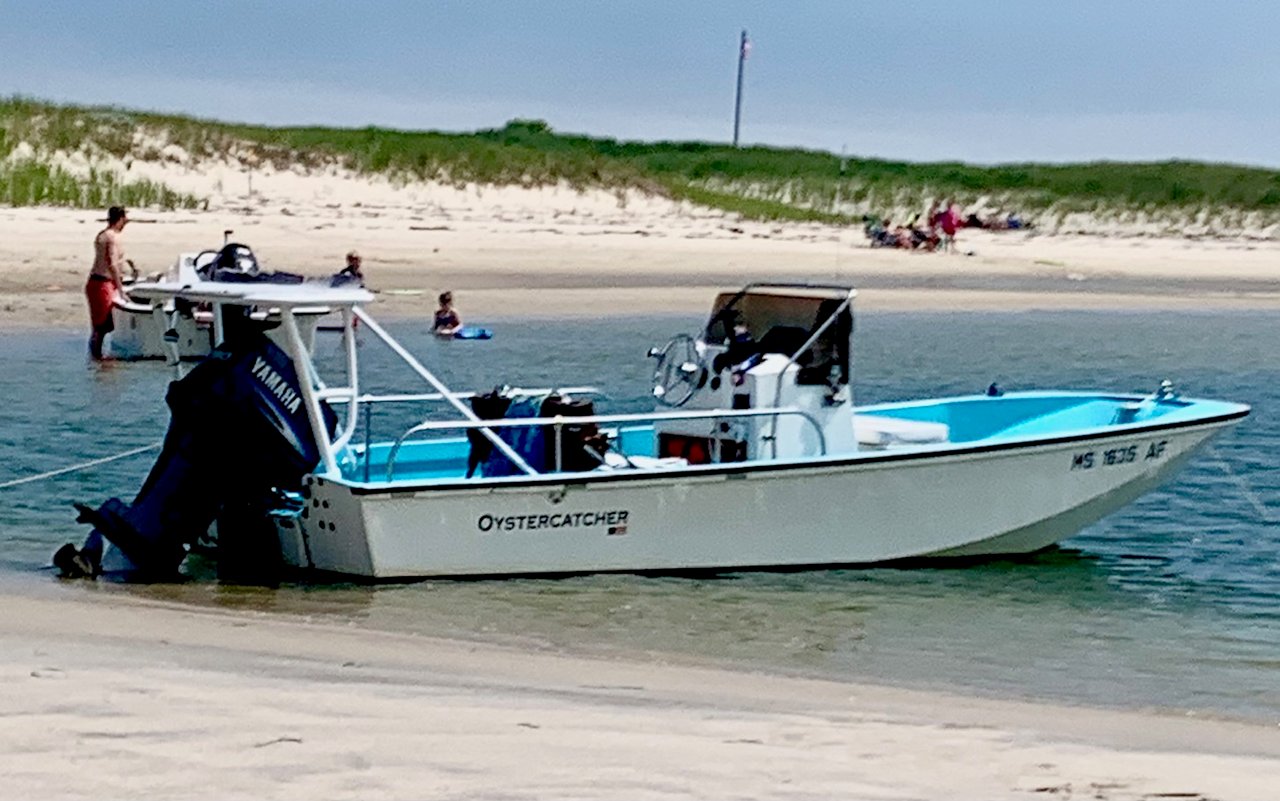 **What A Boston Whaler Can Teach You About Cape Cod Real Estate**