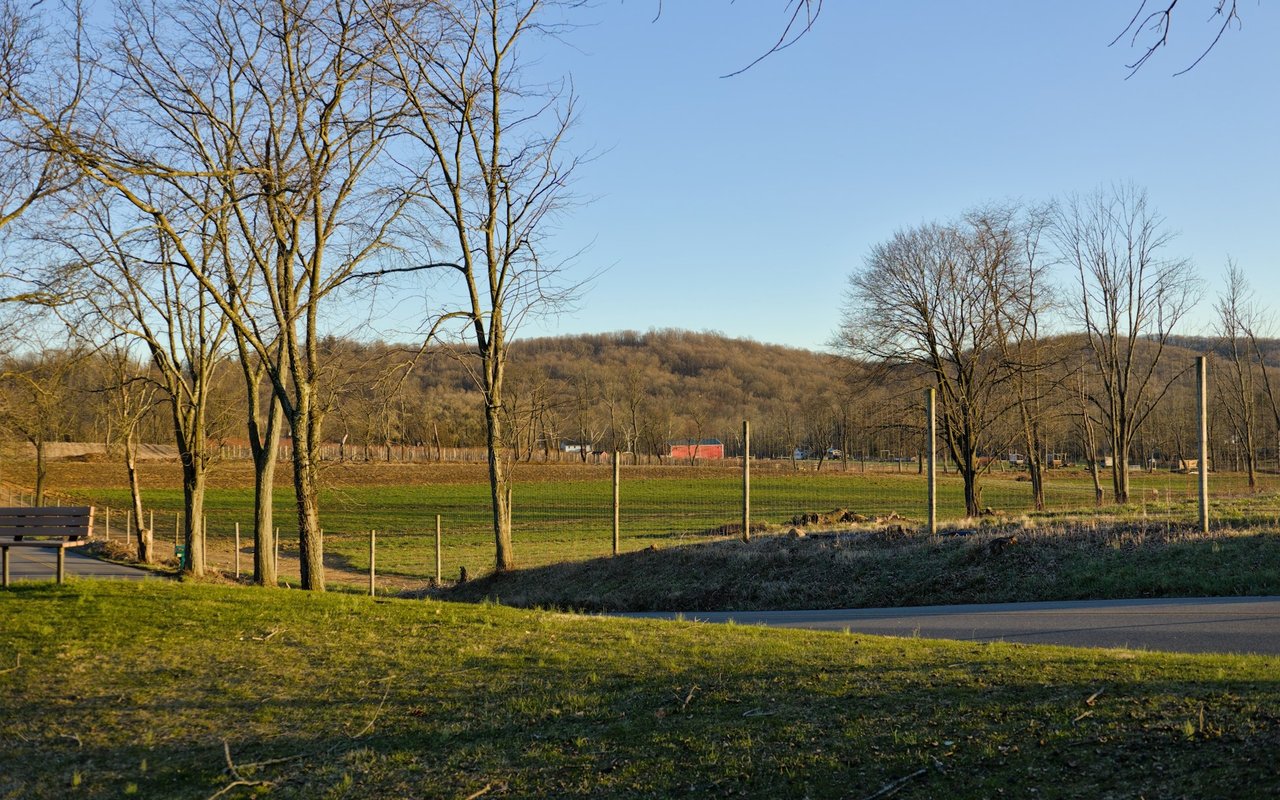 Open field and wooded hills in eastern Henrico County, framed by bare trees and fence posts.