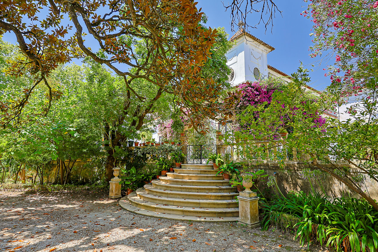 Magnificent 17th-Century Palace with  76,400 m² Estate Near Coimbra