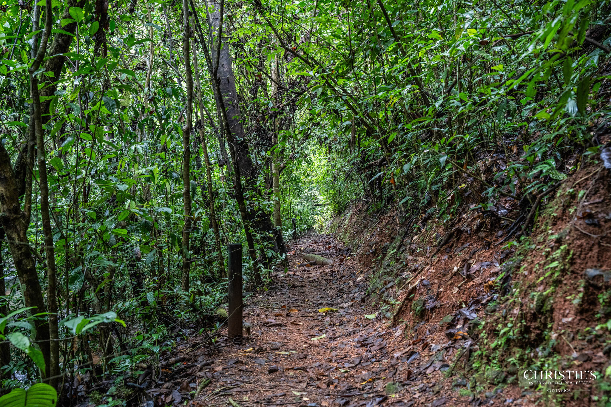 El Encanto Estate Waterfall, Regenerative Land & Carbon‑Neutral Sanctuary a Legacy Property
