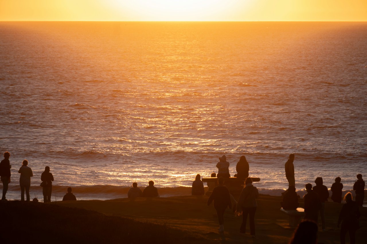 Market Update | Nov 11