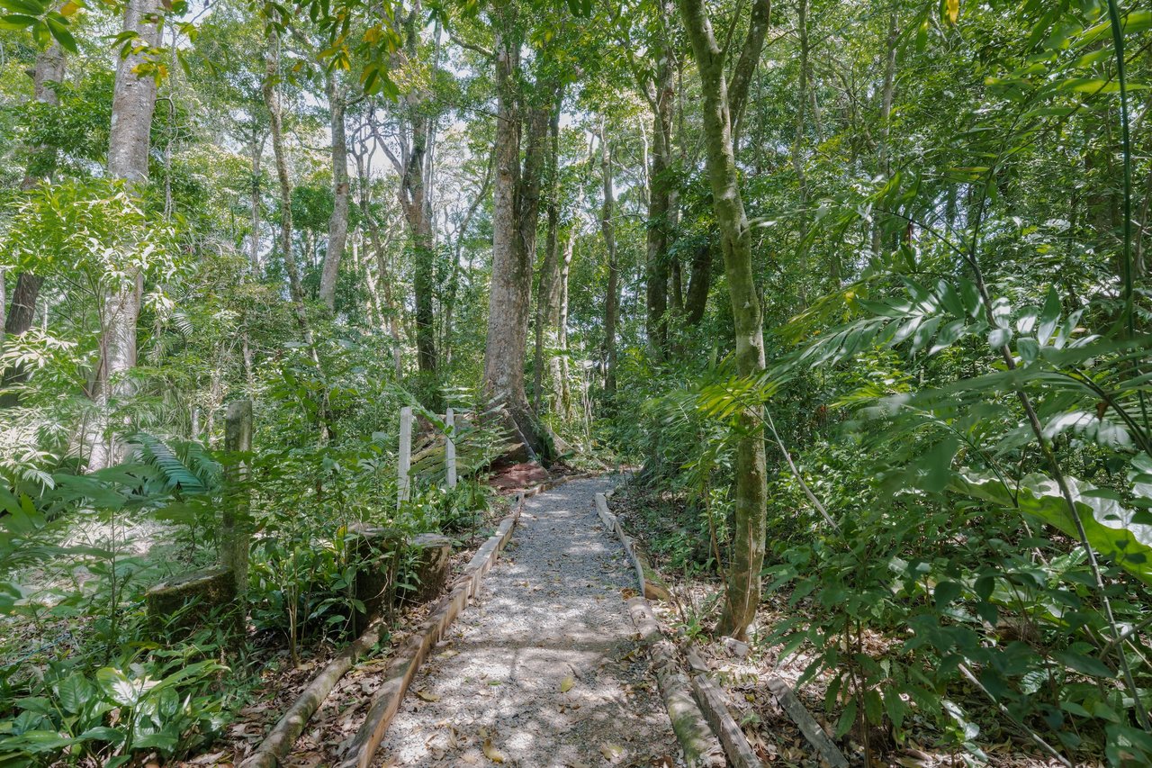 Eco Luxury Estate in Monteverde with Panoramic Gulf Views & Flat Land