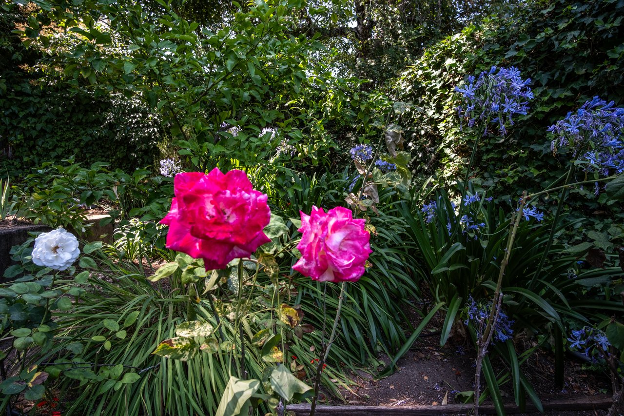 A Rare Opportunity to Build A Luxury Estate in Ross