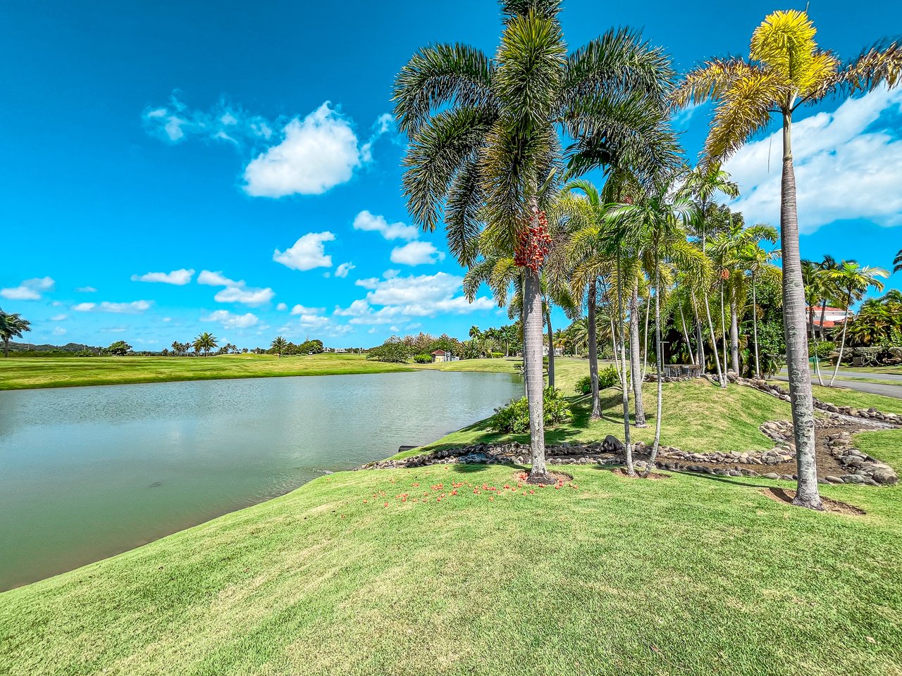 Dorado Beach East 28