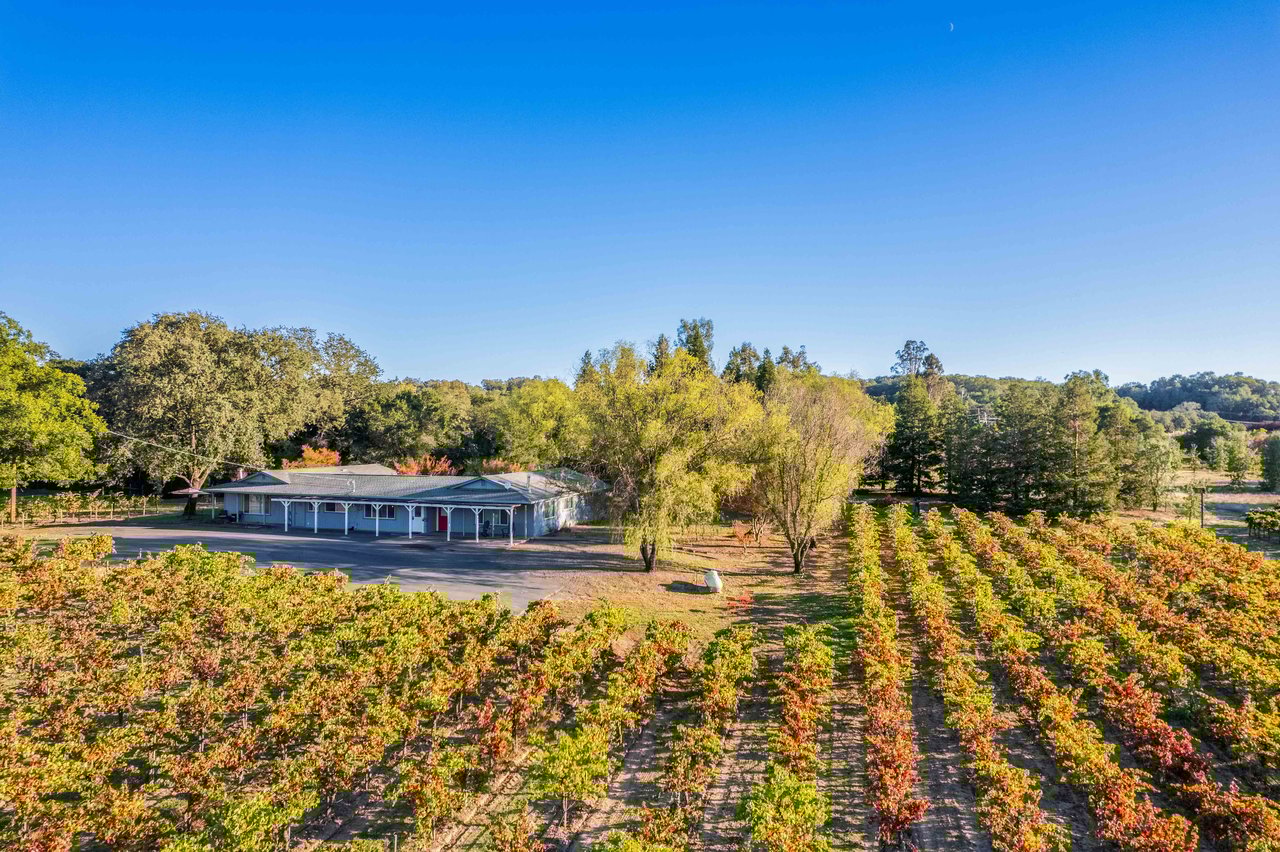 725 Lytton Station