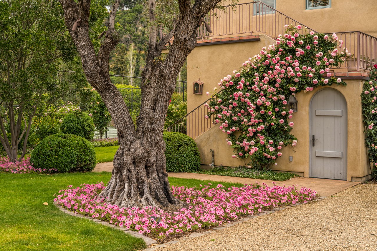 Mills Lane, St. Helena
