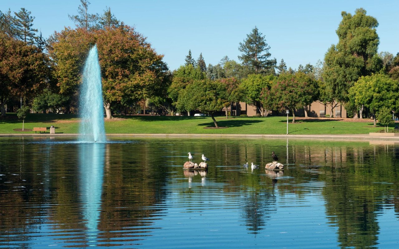 Sunnyvale