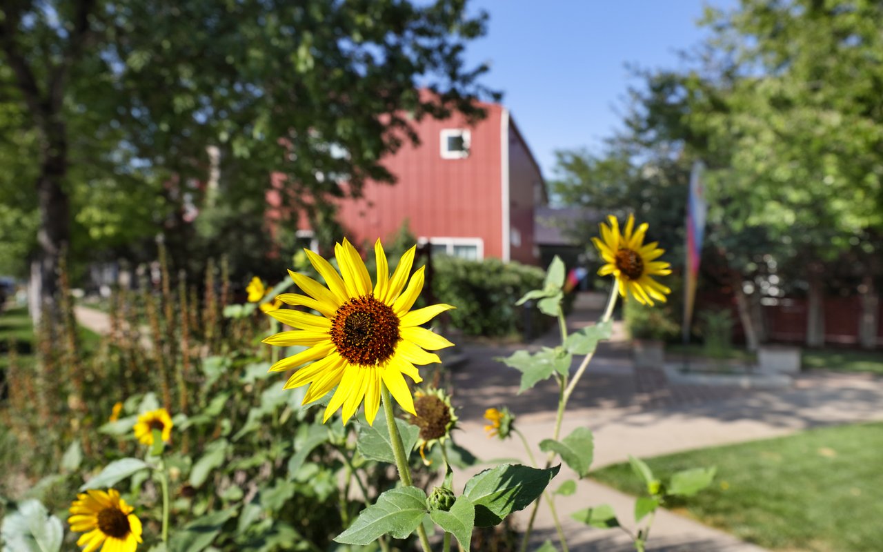 1517 Easy Rider Lane 101 & 102