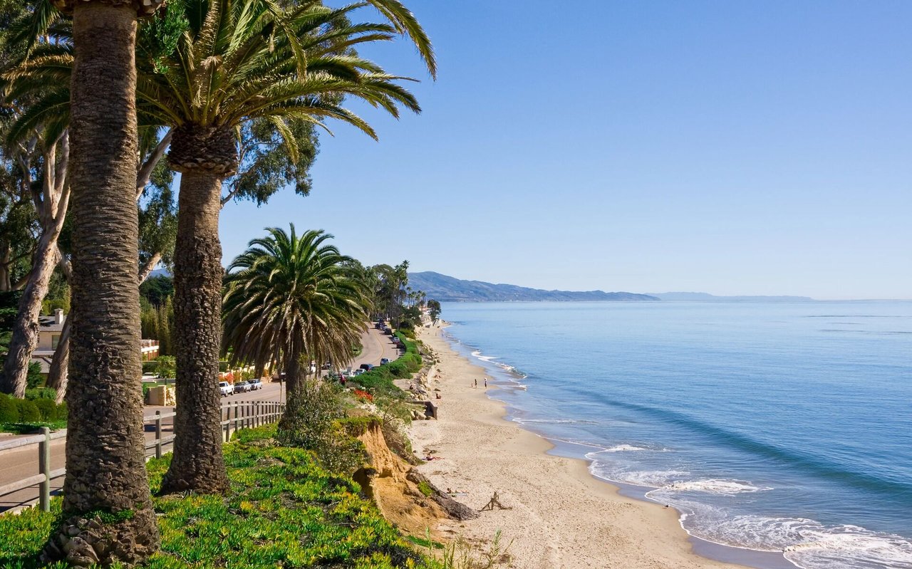Santa Barbara beach and calm coastline framed by tall palm trees.